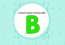 Animal Names That Start with B Animal Names That Start with B