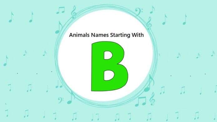 Animal Names That Start with B Animal Names That Start with B