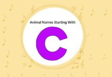 Animal Names That Start with C Animal Names That Start with C