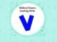 Biblical (Bible) Baby Names That Start With V Biblical Names That Start With V