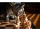 100+Top Female Cat Names That Start With V Cat Names Starting with V