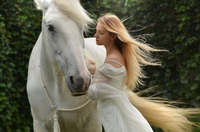 Horse Names That Start With A Horse Names That Start With A