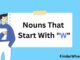 200 Nouns That Start With X Nouns That Start With W