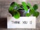 100 Thank You Messages To Write In a Appreciation Card Thank You Messages To Write In a Appreciation Card
