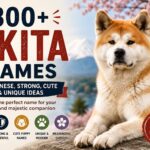 300+ Best Akita Dog Names: Unique, & Cute Dog Name Ideas